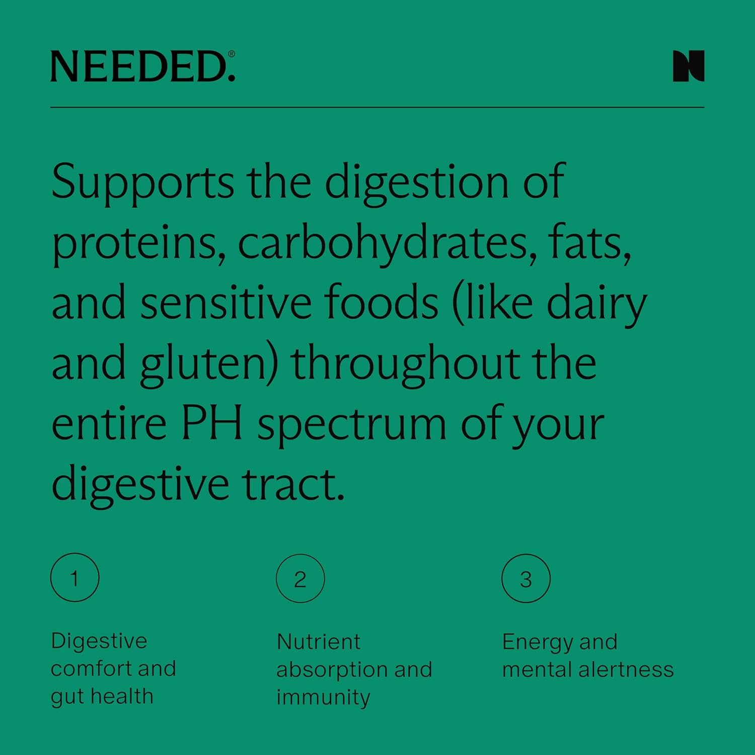 Needed. Digestive Enzymes Support - Daily Essential Enzymes Support for Bloating Relief - 90 Capsules with 14 Clinically Backed Digestive Enzymes
