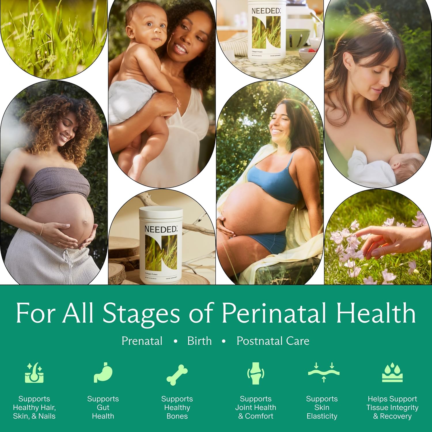 Needed. Prenatal Hydrolyzed Collagen Protein Powder – Expert-Backed & Clean Sourced | Supports Skin, Hair, Joints, and Tissue Recovery in Pregnancy | Grass-fed, Pasture-Raised, Hormone-Free | 1lb
